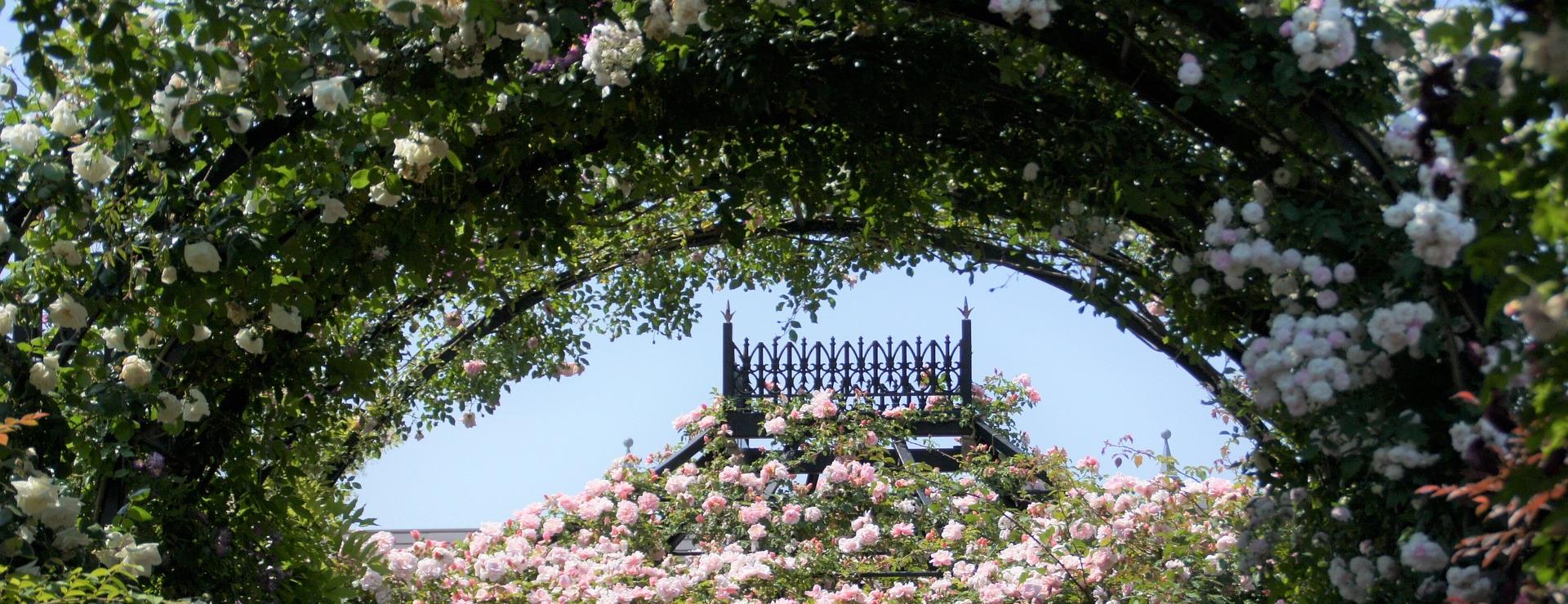 Magasin De Jardin Et D'extérieur -Magasin De Jardin Et D'extérieur flowers 3614624 1920