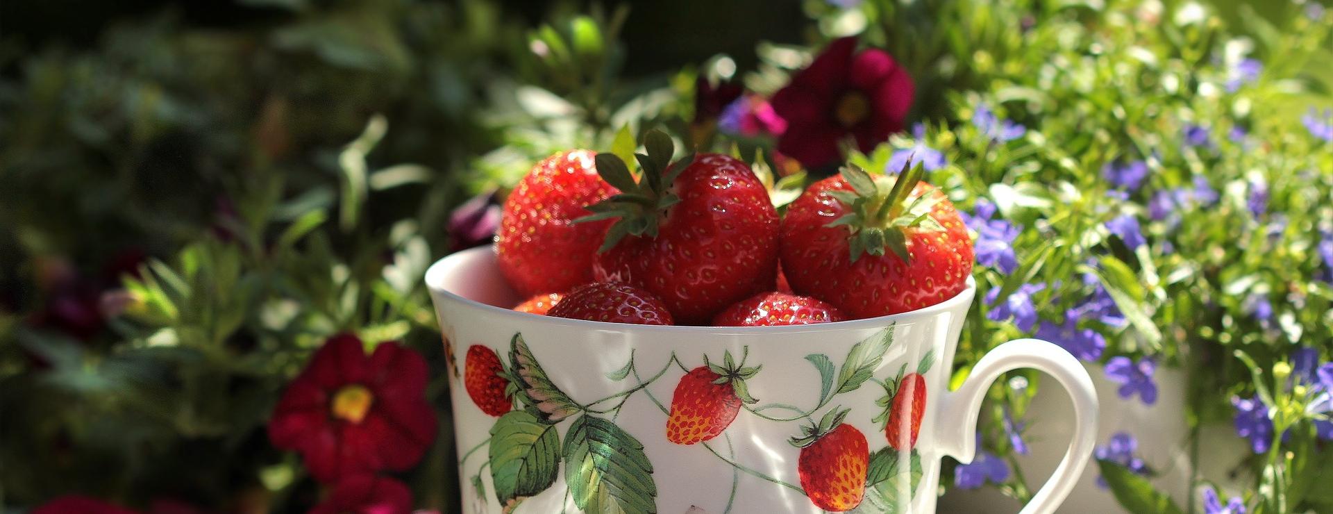 Magasin De Jardin Et D'extérieur -Magasin De Jardin Et D'extérieur fruit 741166 1920