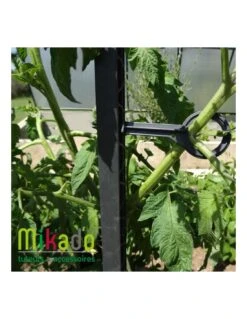 Lot De 6 Attaches Pour Tuteur à Tomate MIKADO 180 Cm - Anthracite / Mosse