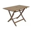 Table De Jardin Sophie Pliante En Bois D'eucalyptus - 110 X 70 Cm