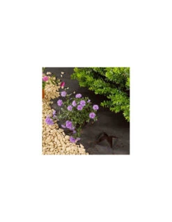 Toile De Paillage 1m X 15 M -Magasin De Jardin Et D'extérieur toile de paillage 1m x 15 m 2