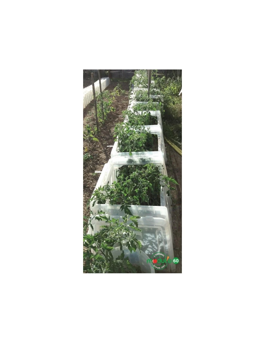 Tunnel de forçage Modul'o 60 Tunnel De Forçage Modul'o 60 -Magasin De Jardin Et D'extérieur tunnel de forcage modul o 60 1 1